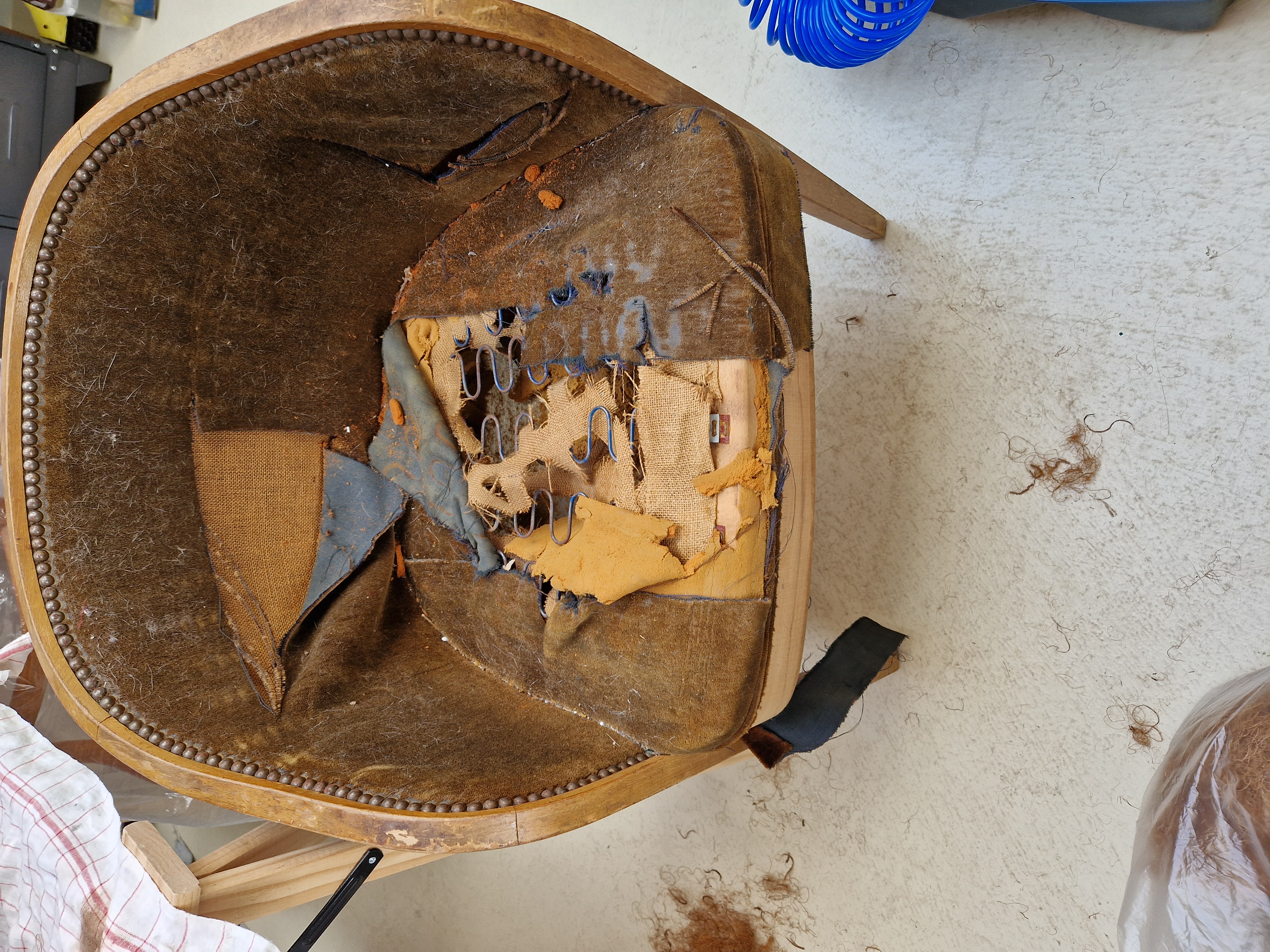 Fauteuil Art Nouveau